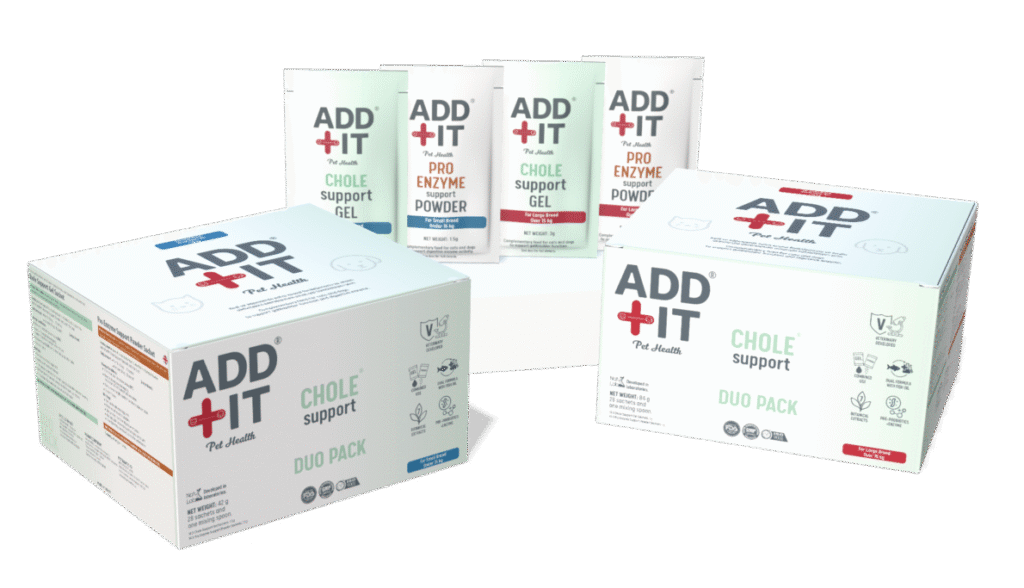 chole support safra sistemi