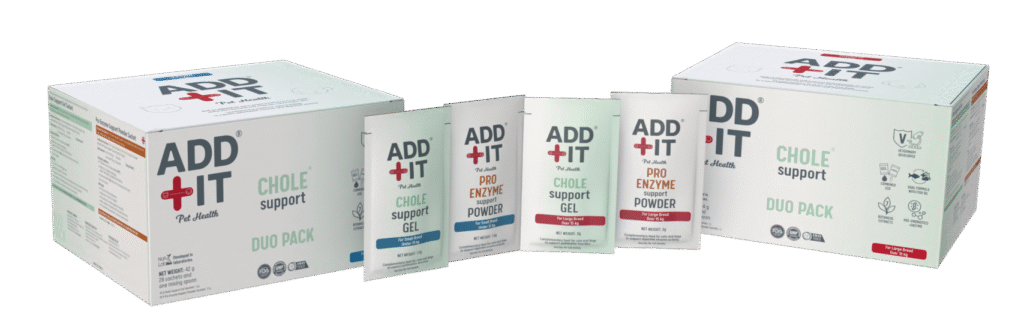 chole support safra sistemi