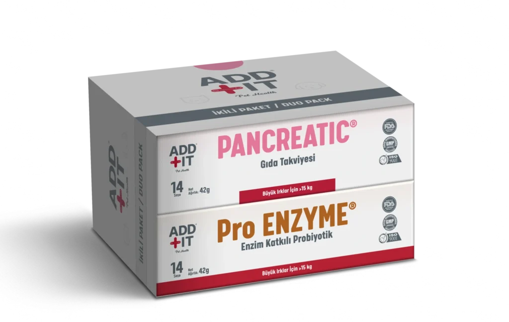 pankreas deve dikeni milk thistle